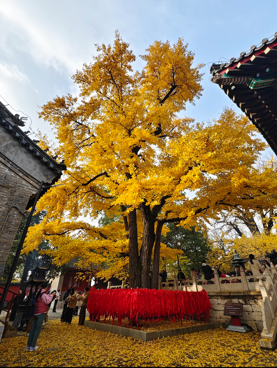 Hongluo Temple